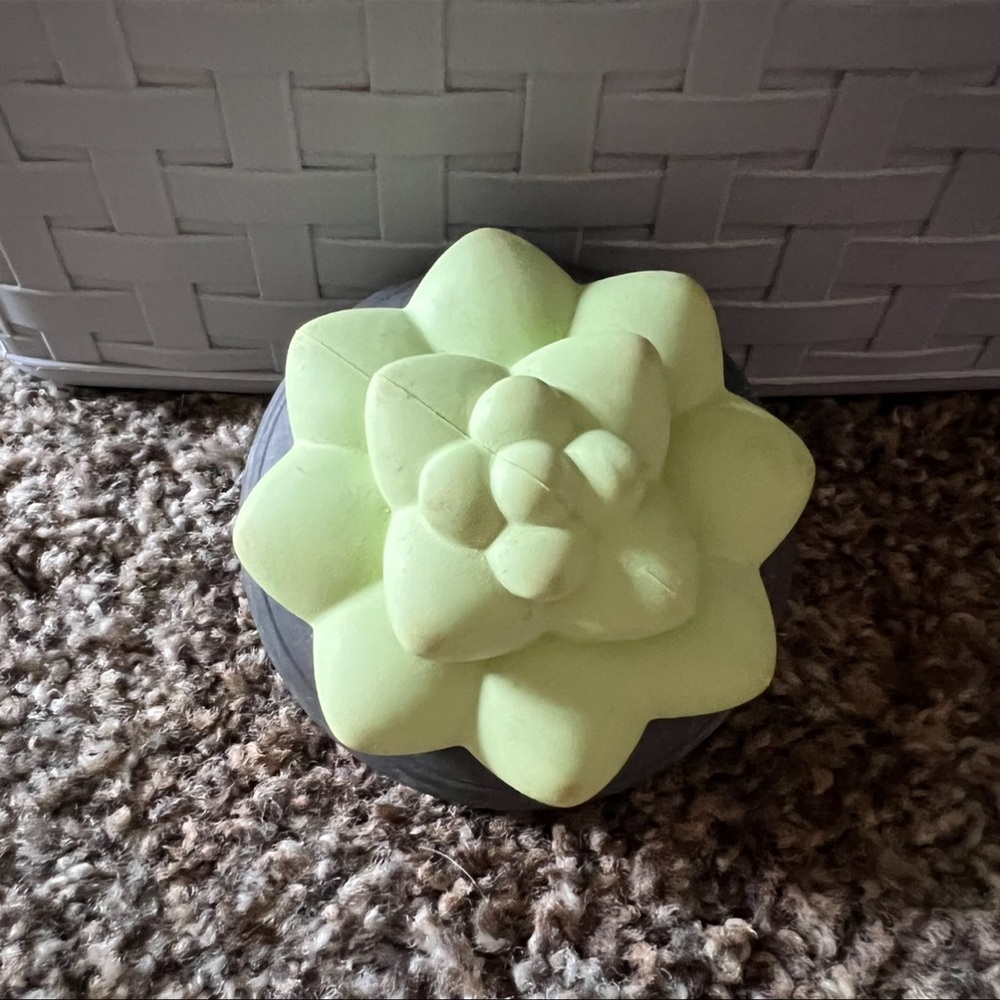 bark box toy